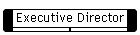 Executive Director