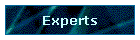 Experts