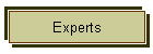 Experts