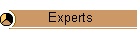 Experts