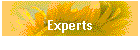 Experts