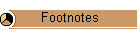 Footnotes