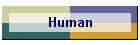 Human