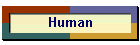 Human