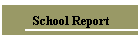 School Report