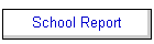 School Report