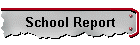 School Report