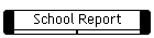 School Report